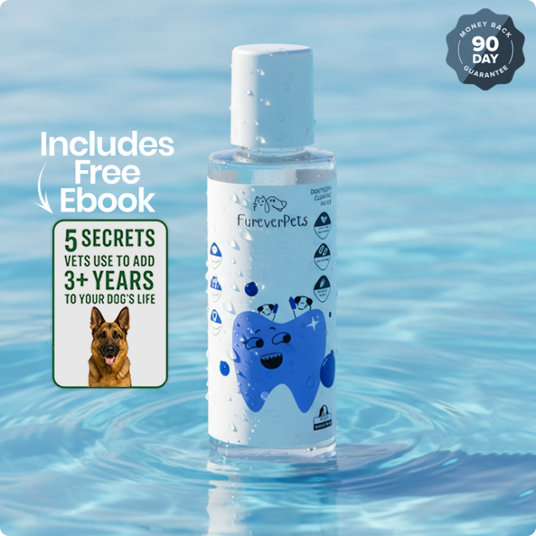 Protect your dog from Gum Disease and Dental Emergencies with FureverPets