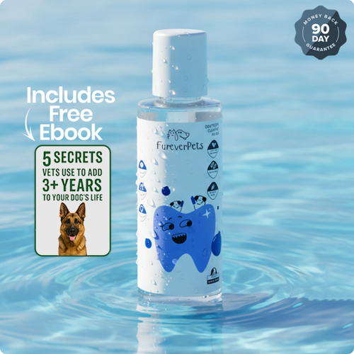 Protect your dog from Gum Disease and Dental Emergencies with FureverPets